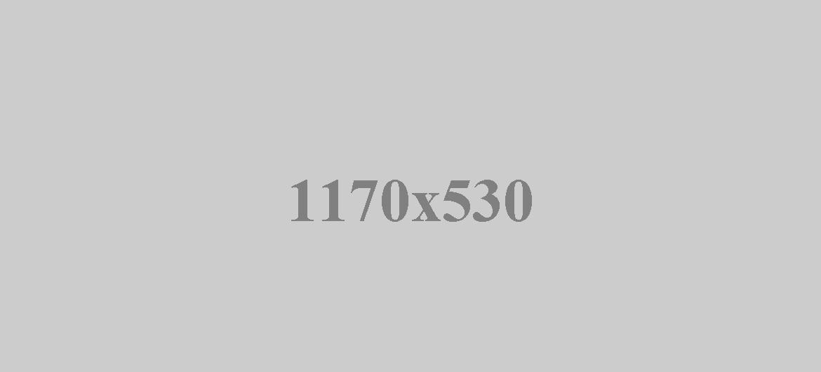 alt img